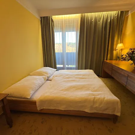 国际酒店 4* 韦尔卡鲁穆尼卡