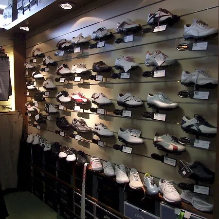 酒店 国际酒店 4*