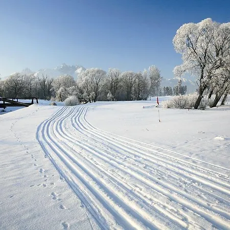 酒店 国际酒店 韦尔卡鲁穆尼卡