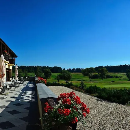 酒店 国际酒店 韦尔卡鲁穆尼卡